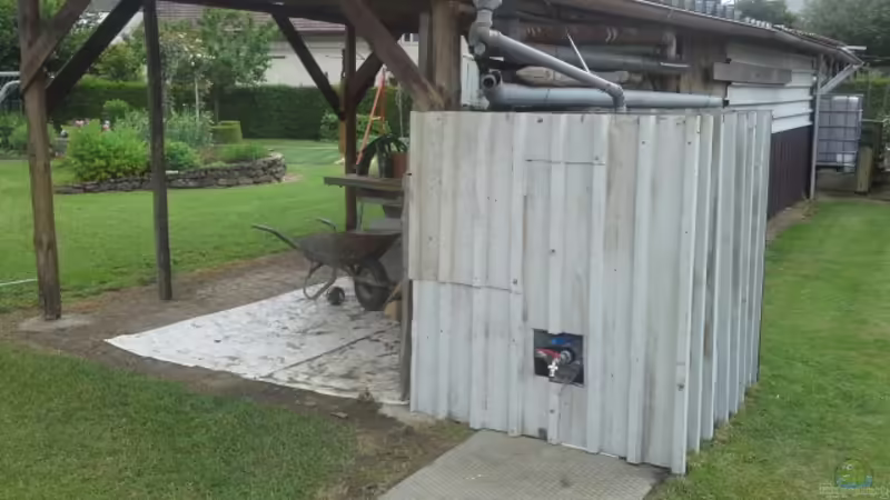 Regenwasser im Garten nutzen: Welche Möglichkeiten gibt es?