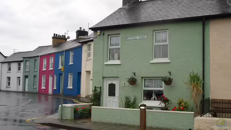 Reihenhausgarten - Gestaltung, Planung und Pflege auf kleinem Raum