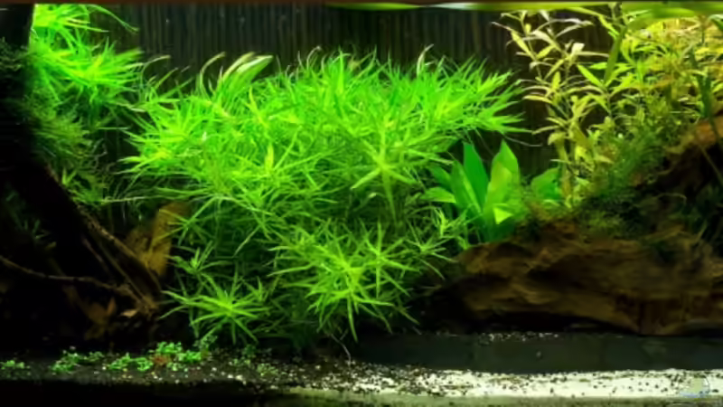 relativ aktuelles Bild relativ aktuelles Bild