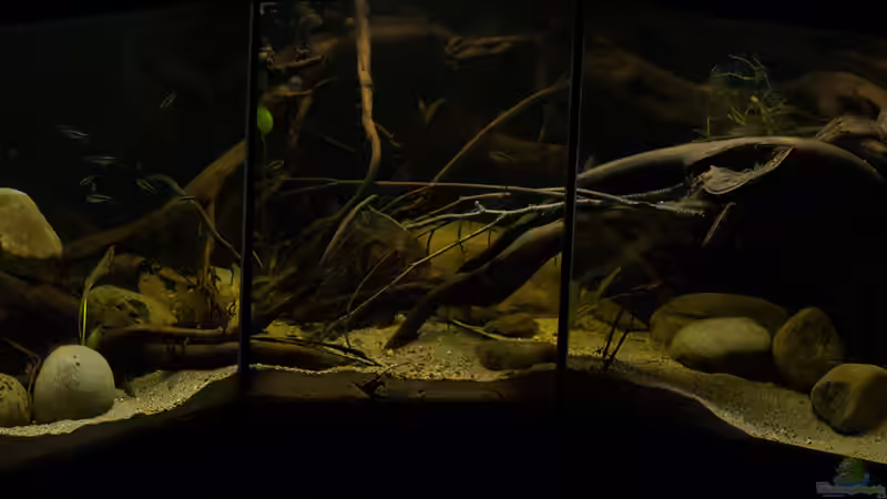 Rio Tapajos ... ein Traum aus Südamerika .. Rio Tapajos ... ein Traum aus Südamerika ..