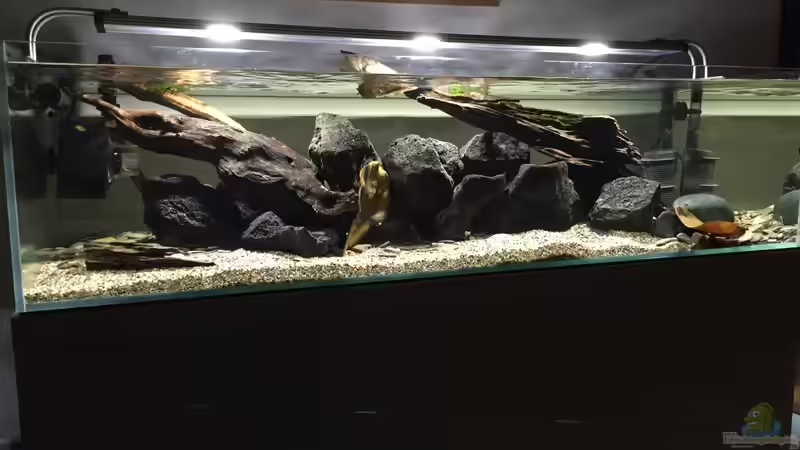 Rio Xingu Biotop Rio Xingu Biotop