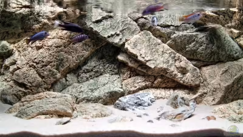 Rocky Tank Rocky Tank