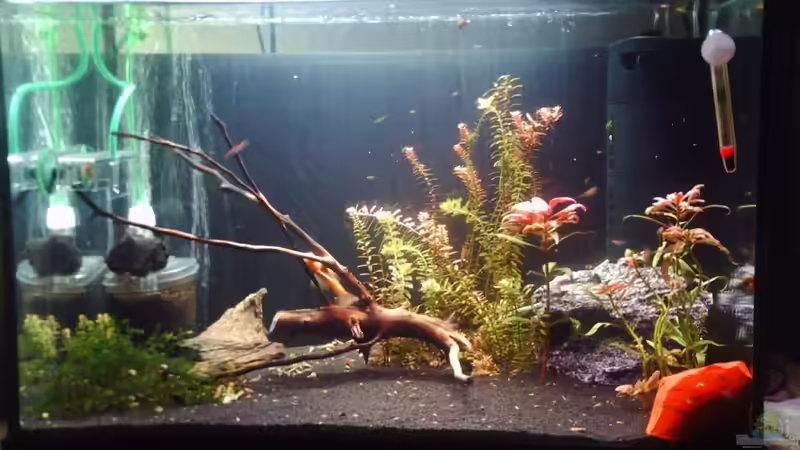 Sah auch schon mal besser aus ^.^ Sah auch schon mal besser aus ^.^