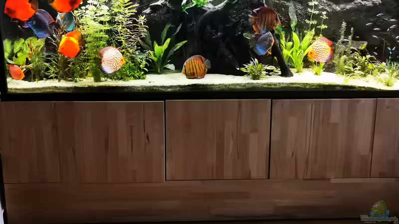 Scheibenwelt Scheibenwelt