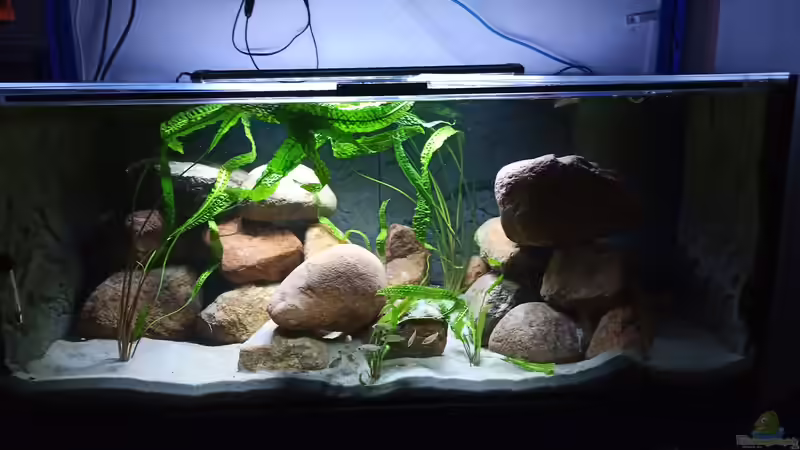 Schon gar nicht so schlecht, oder? Schon gar nicht so schlecht, oder?