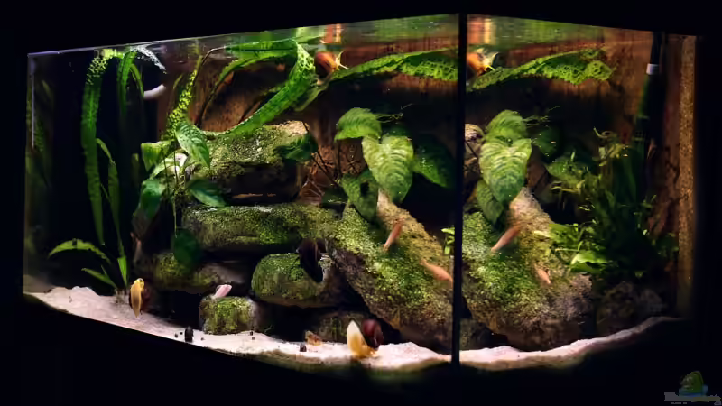 Schrägansicht vom 05.11.2009 Schrägansicht vom 05.11.2009