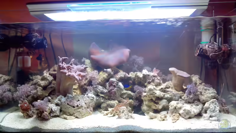 SeaWorld 2 SeaWorld 2