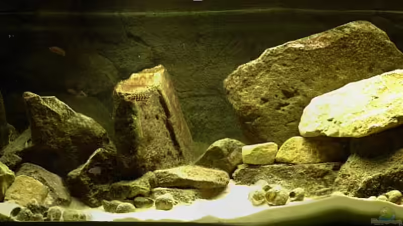 Seinwüste Seinwüste