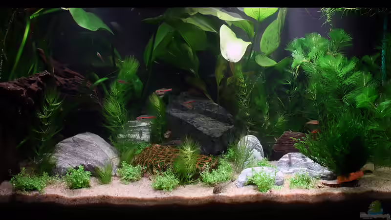 seit dem 08.07.2011 seit dem 08.07.2011