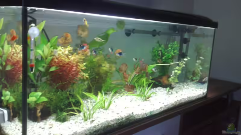 Seitenansicht Seitenansicht