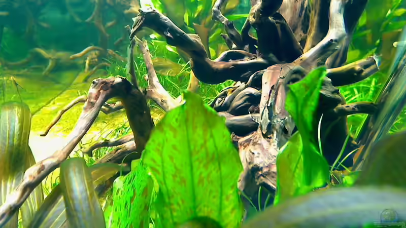 seiteneinblick seiteneinblick