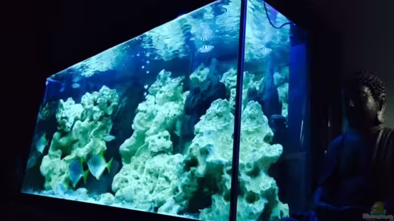 Seitliche Gesamtansicht Seitliche Gesamtansicht