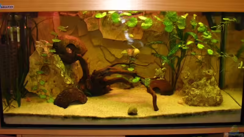 Sicht, direkt von vorne Sicht, direkt von vorne