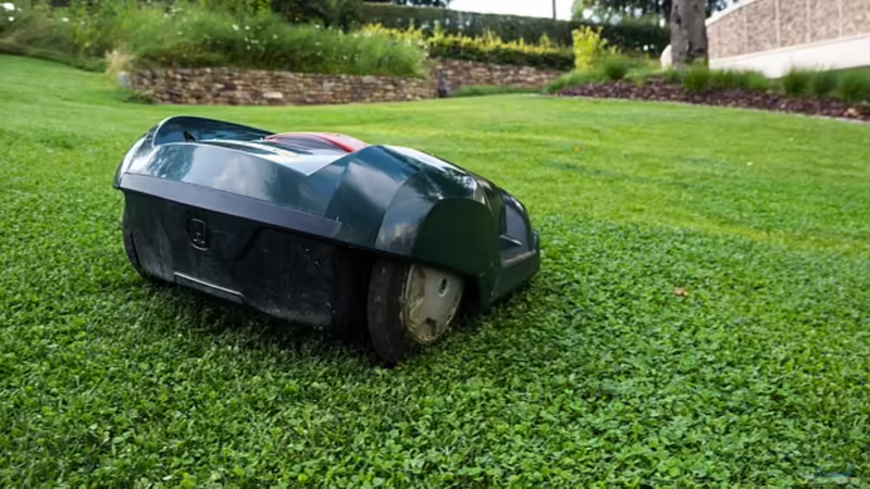 Smart Gardening: Die Zukunft des Gartenbaus