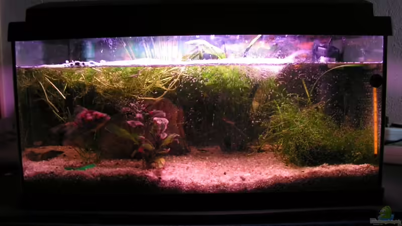 SO BITTE NICHT! SO BITTE NICHT!