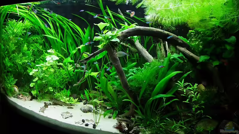 So langsam wird es :-) So langsam wird es :-)