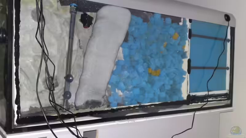 So oft muss man den Rückwandfilter von Aquarienkontor reinigen