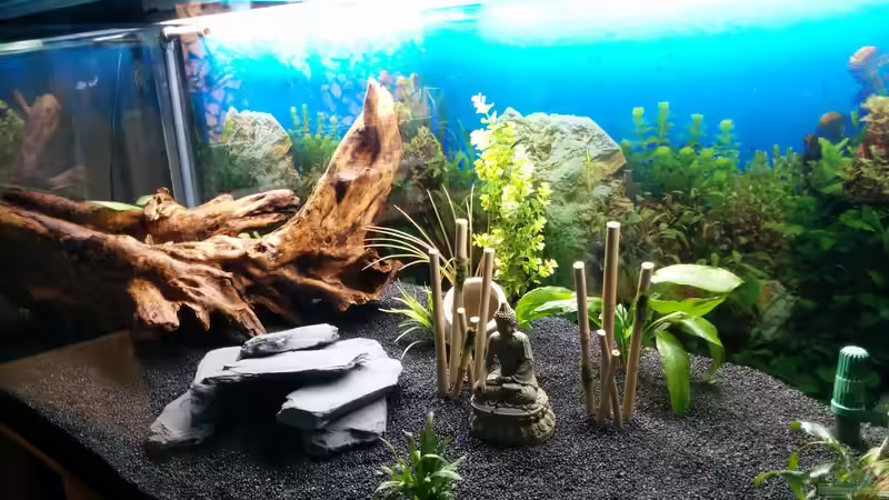 So sah es vor dem Einfüllen des Wassers aus So sah es vor dem Einfüllen des Wassers aus