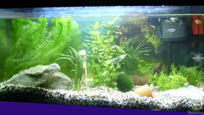 So schauts aus, mein erstes eigenes Becken So schauts aus, mein erstes eigenes Becken