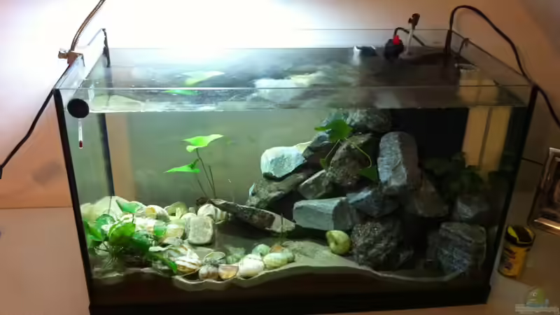 So sieht es heute aus So sieht es heute aus