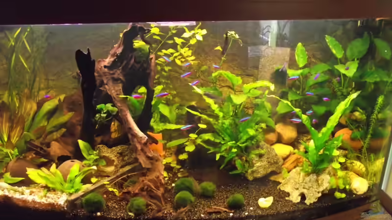 So sieht es jetzt aus seit dem 20.05.2013 So sieht es jetzt aus seit dem 20.05.2013