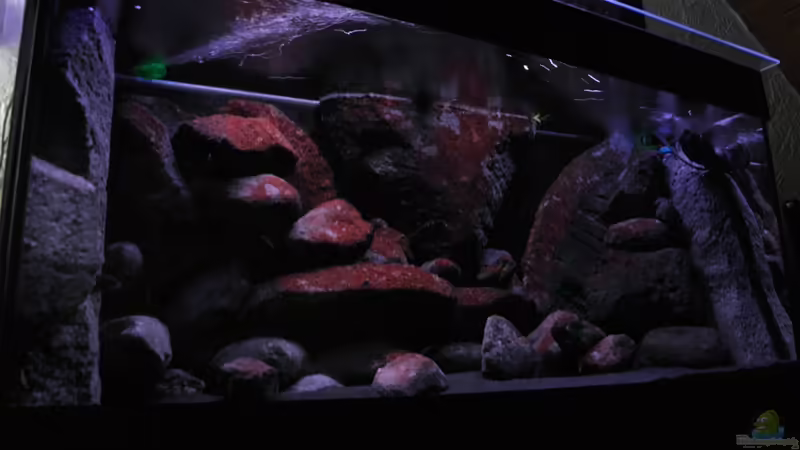 so sieht es momentan aus so sieht es momentan aus