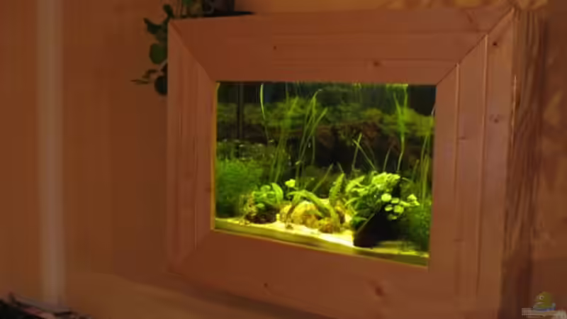 so siehts an der Wand aus so siehts an der Wand aus