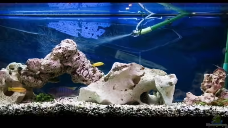 so siehts tagsüber aus so siehts tagsüber aus