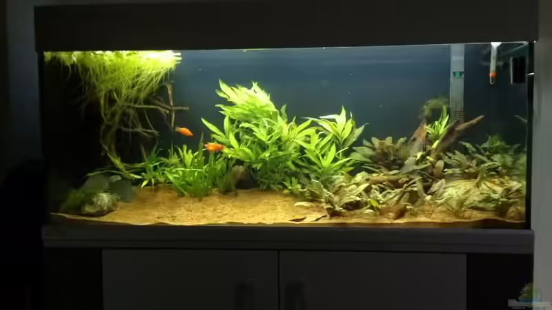 So war es mal soweit fertig So war es mal soweit fertig