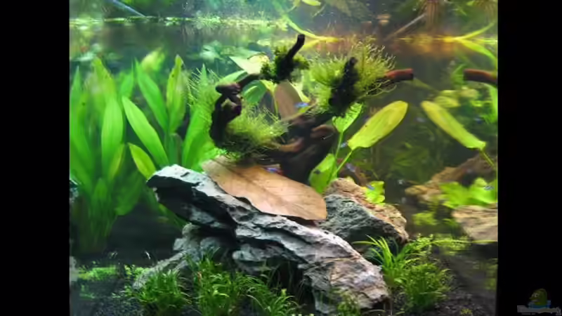 Somewhere Else Somewhere Else