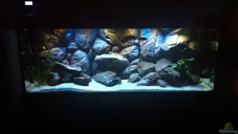 Soooo, endlich fertig Soooo, endlich fertig