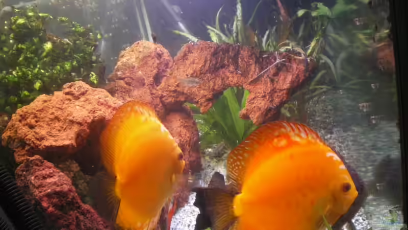 ~SouthRedRiver~ ~SouthRedRiver~