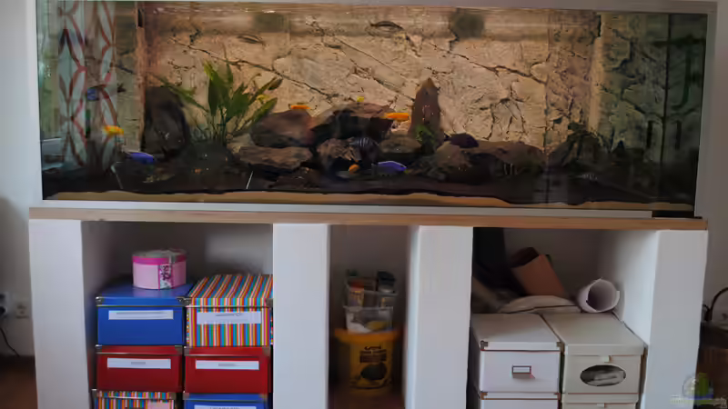 Spielwiese *-* Spielwiese *-*