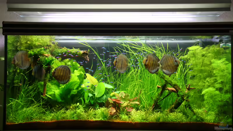 Stand: 15.08.06 Stand: 15.08.06