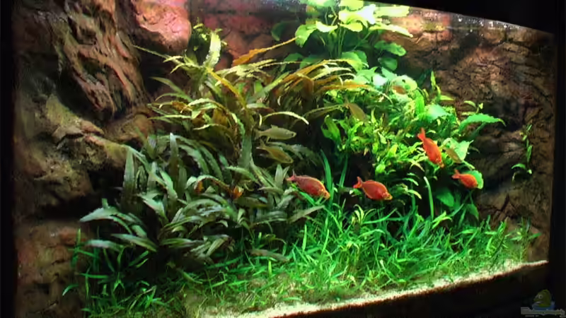 Stand: 21.03.2006 Stand: 21.03.2006