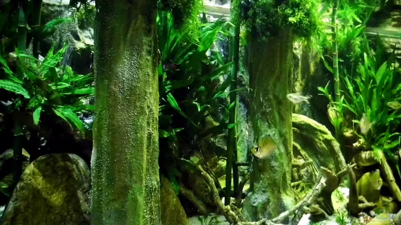 Stand 01.11.2013 Stand 01.11.2013