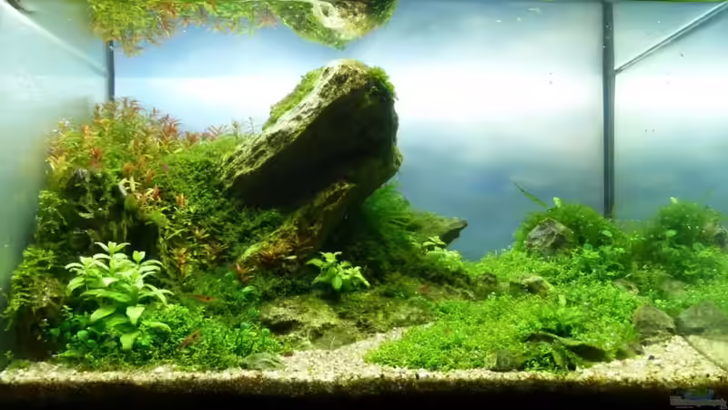 Stand 04.02.11 Stand 04.02.11