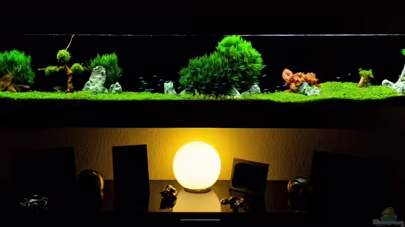 Stand 07.11.2013 Stand 07.11.2013