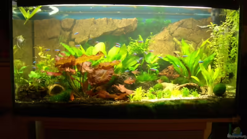 Stand_09.10.10 Stand_09.10.10