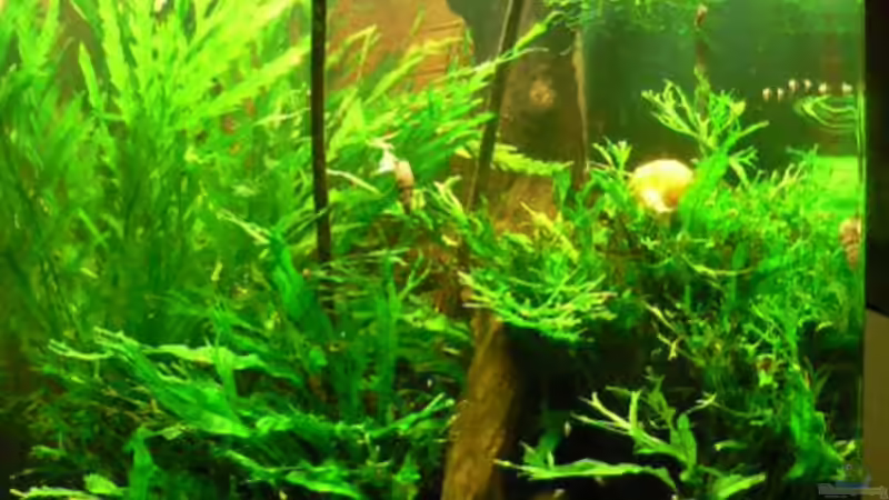 Stand 09/2009 Stand 09/2009