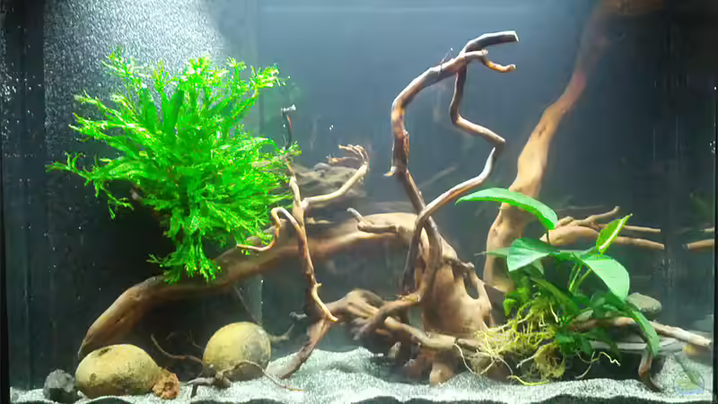 Stand 10. März 2013 Stand 10. März 2013