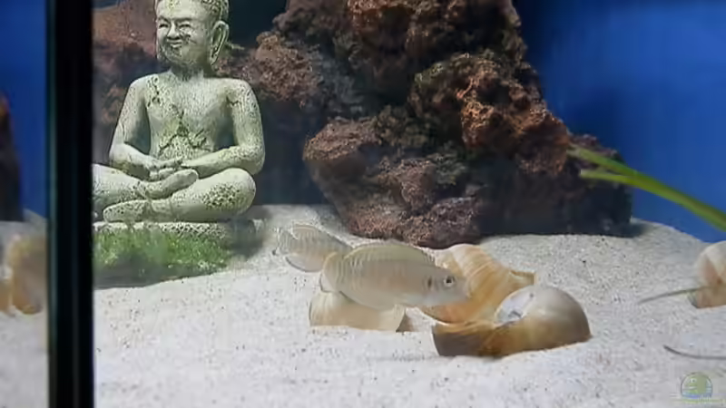 Stand 13.02.19 Stand 13.02.19