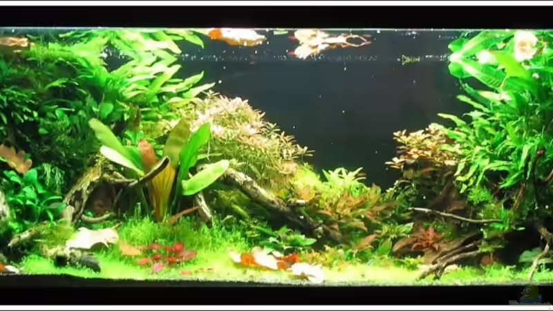 Stand 14.01.10 Stand 14.01.10