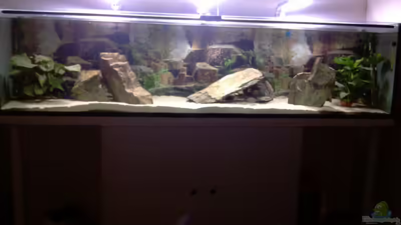 Stand 14.12.10 weitere bilder volgen Stand 14.12.10 weitere bilder volgen