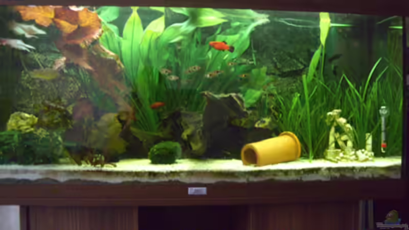 Stand 20.07.2008 Stand 20.07.2008