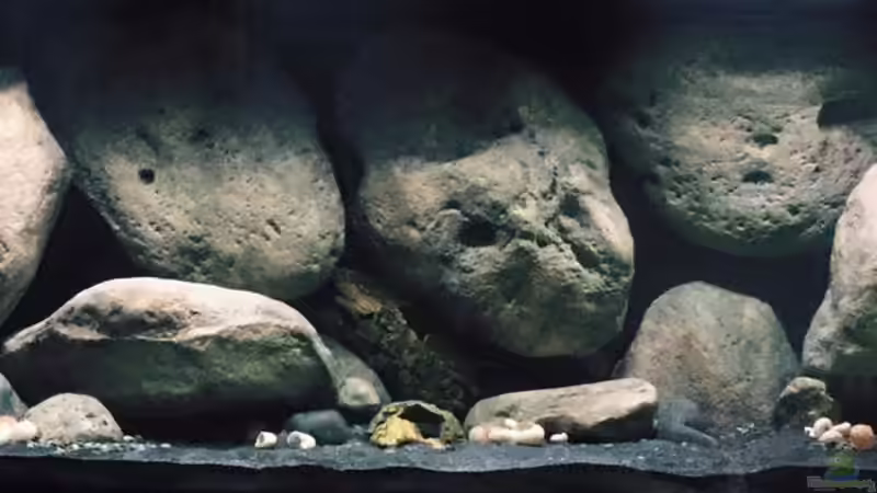 Stand 21.06.2015 Stand 21.06.2015