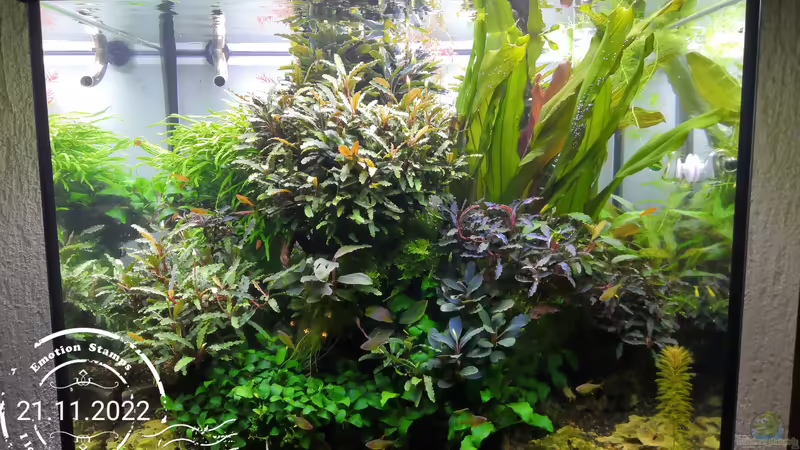 Stand 21.11.2022 Stand 21.11.2022