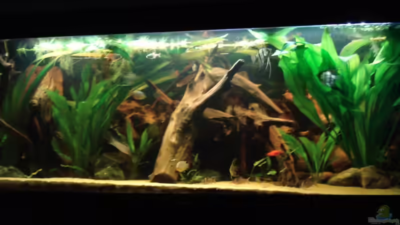 Stand 23.11.2010 Stand 23.11.2010