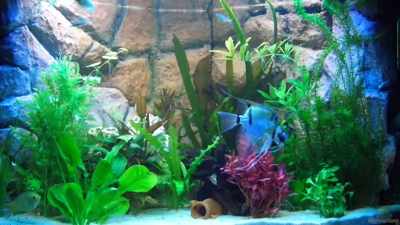 stand 24.01.08 stand 24.01.08