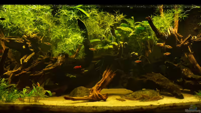 Stand 24.04.2022 Stand 24.04.2022